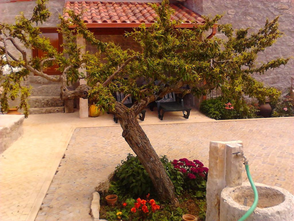 Retiro Da Avo Lidia - Turismo Rural Mendiga Dış mekan fotoğraf
