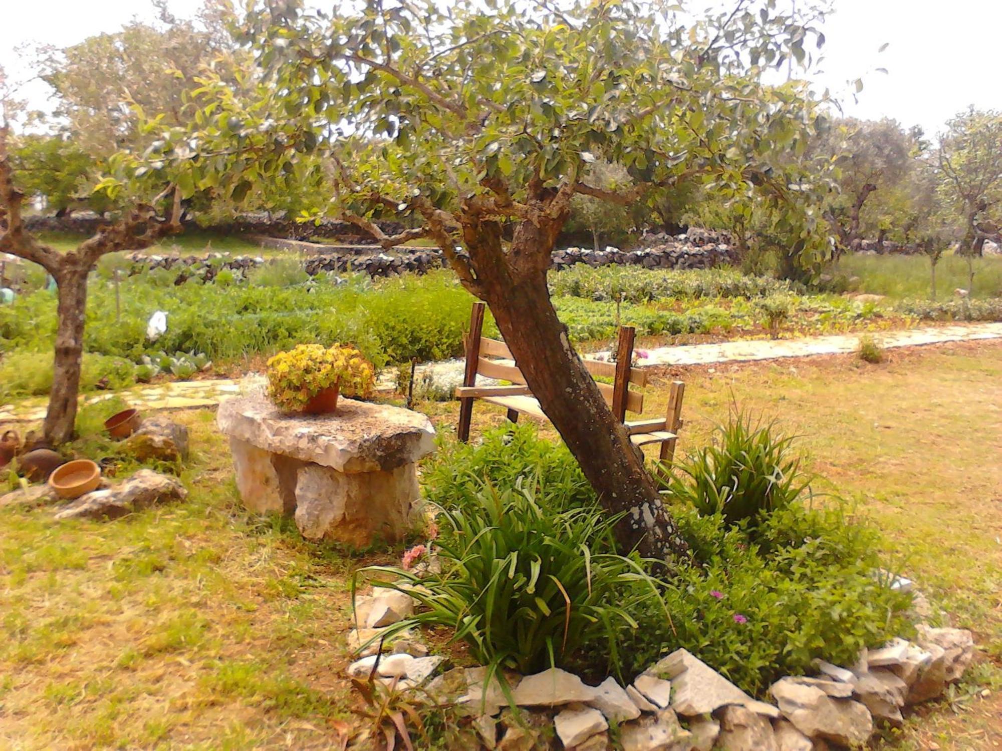 Retiro Da Avo Lidia - Turismo Rural Mendiga Dış mekan fotoğraf