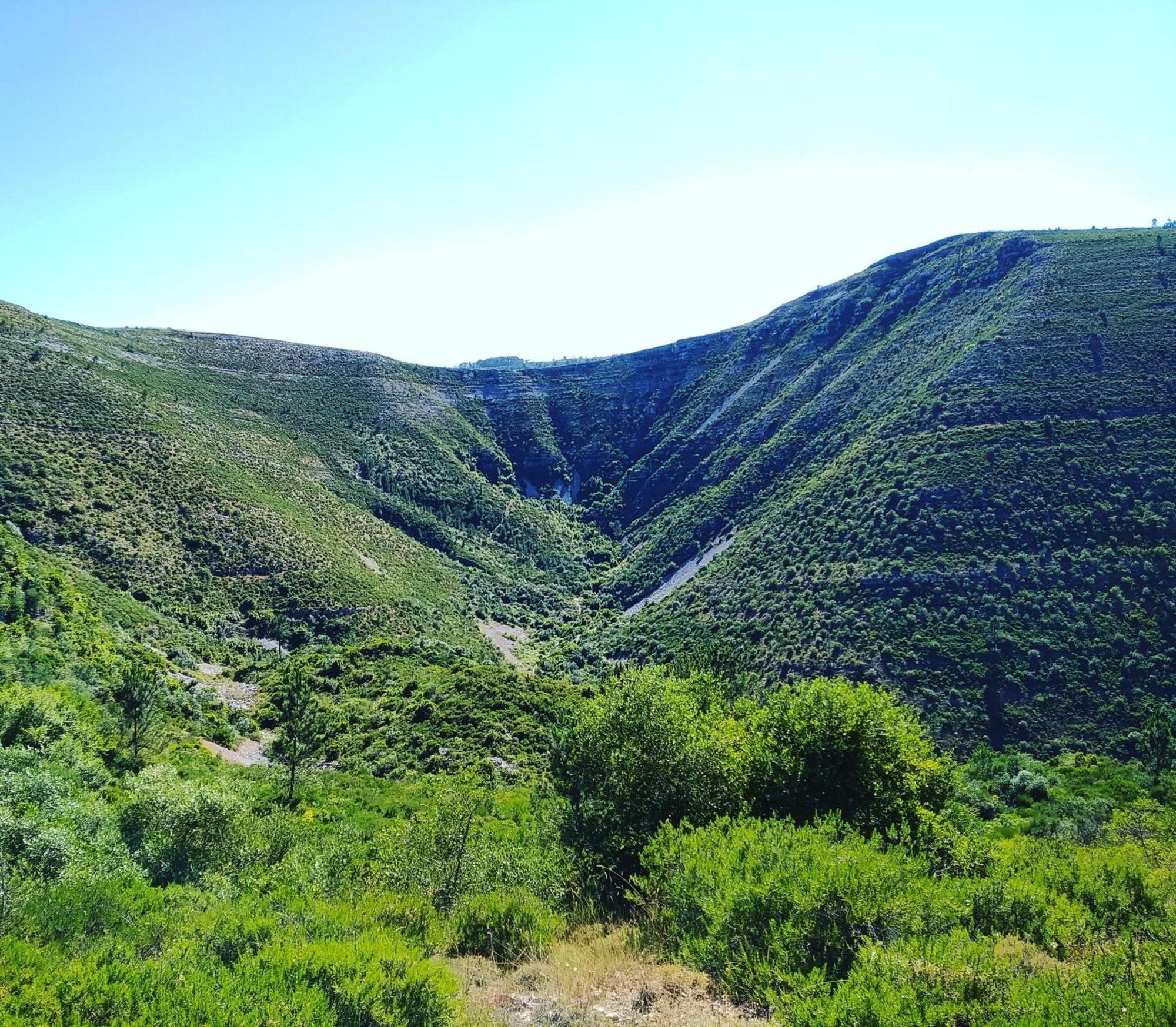 Retiro Da Avo Lidia - Turismo Rural Mendiga Dış mekan fotoğraf