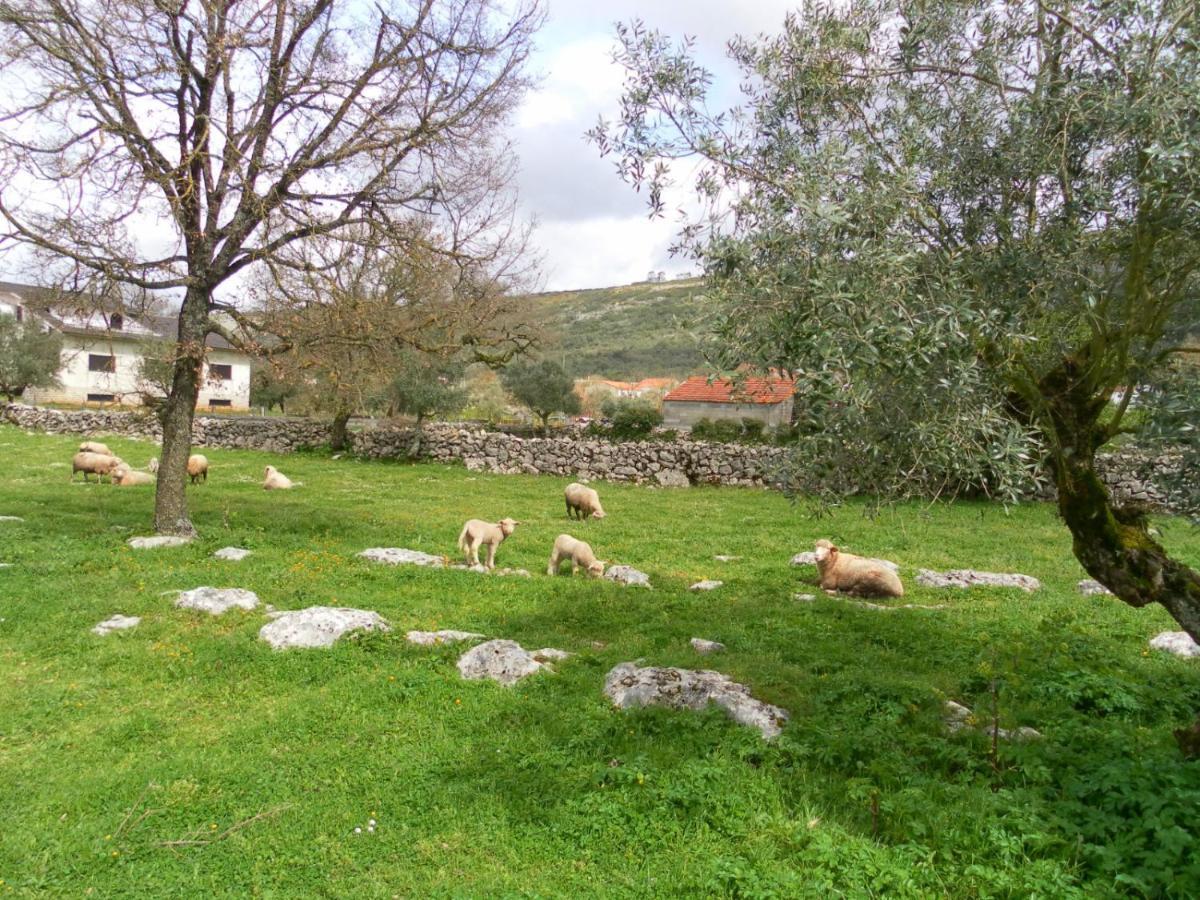 Retiro Da Avo Lidia - Turismo Rural Mendiga Dış mekan fotoğraf
